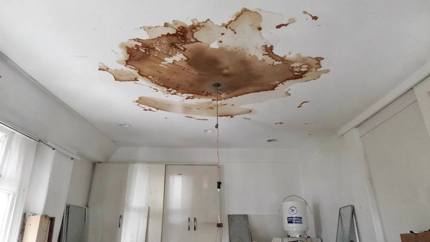 A brown water stain spreading across a ceiling with a bucket set beneath the drip