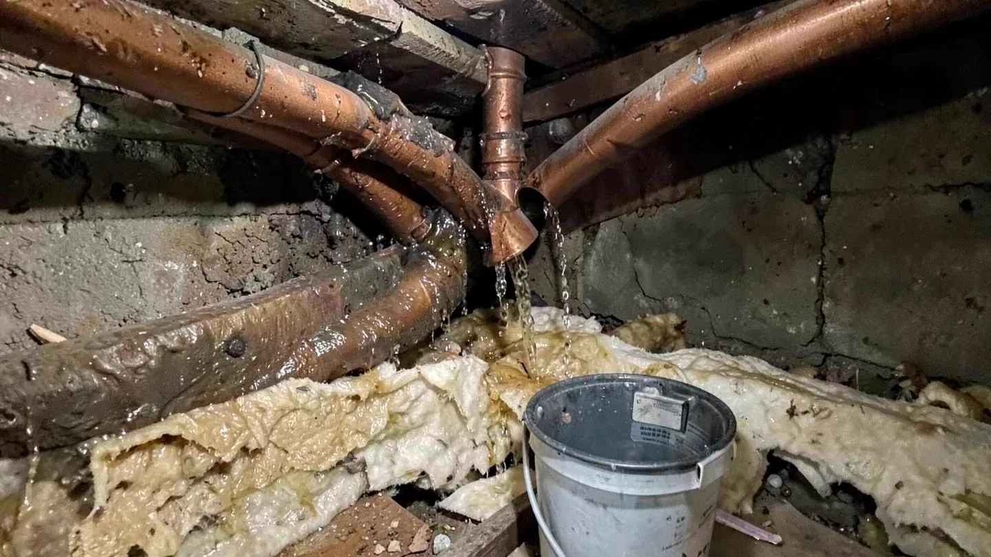 Water leaking from a split copper pipe onto soaked insulation in a basement wall cavity