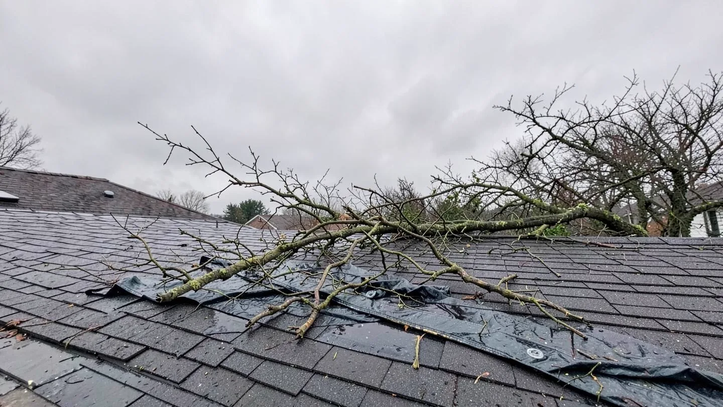 A fallen tree limb resting on shingles beside a partly secured tarp after a storm