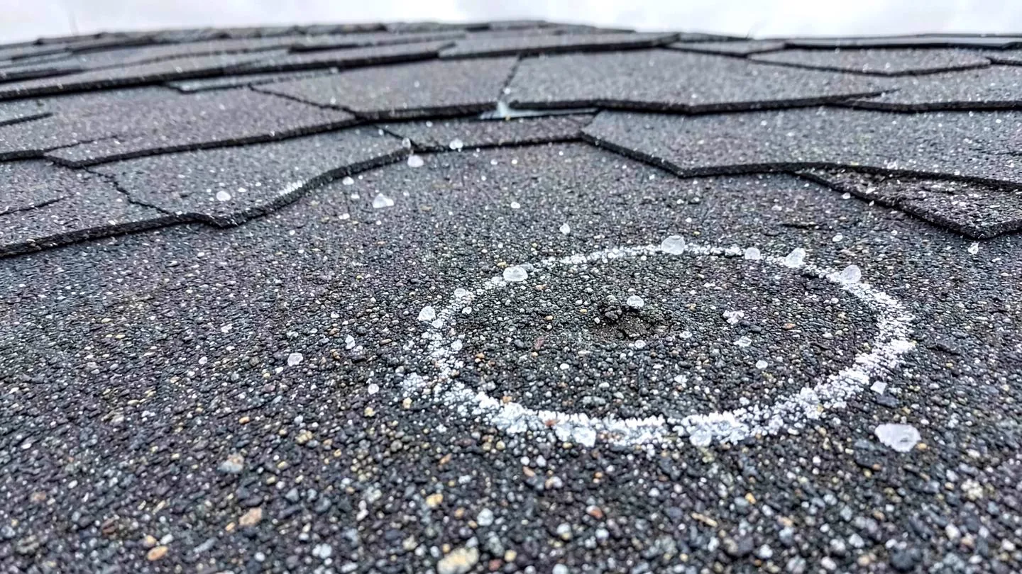 Hail dents and granule loss on asphalt shingles marked with a chalk circle